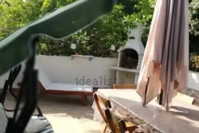 insertion image