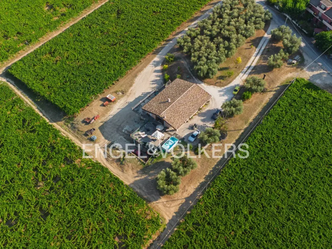 Azienda agricola in Contrada Feudo, Rosciano, {3} - Foto 2