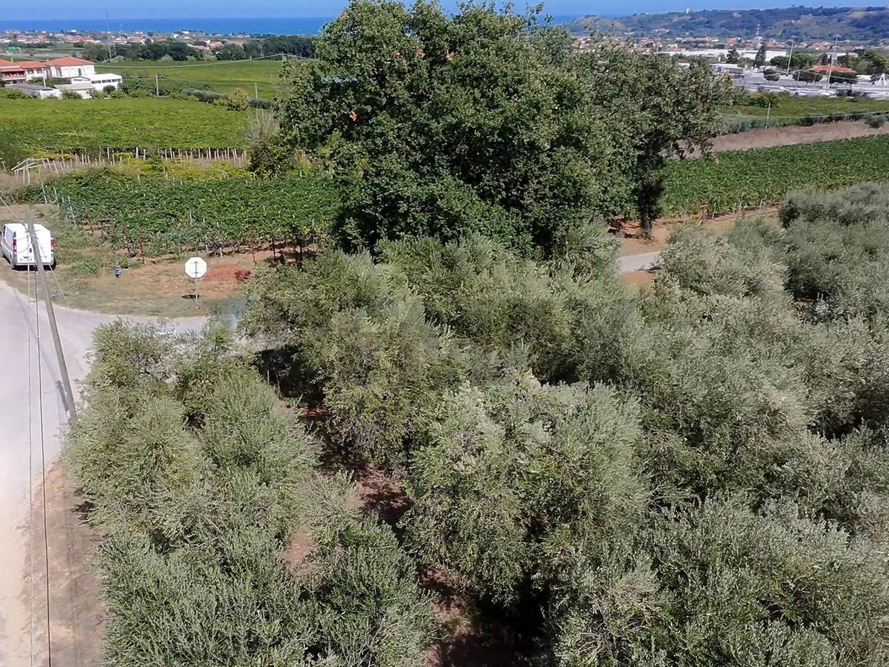 immagine annuncio 2 di 6