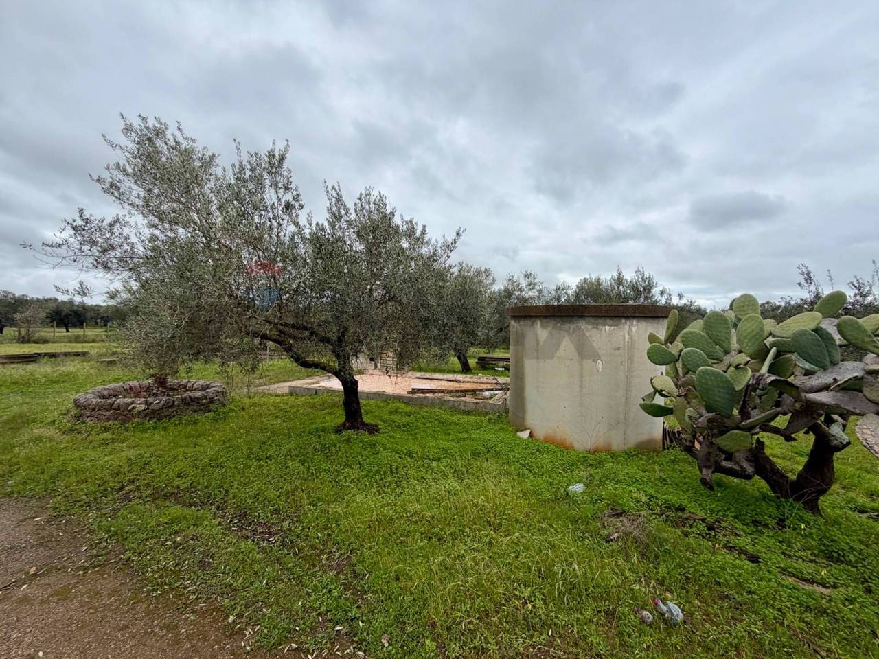 immagine annuncio 8 di 14