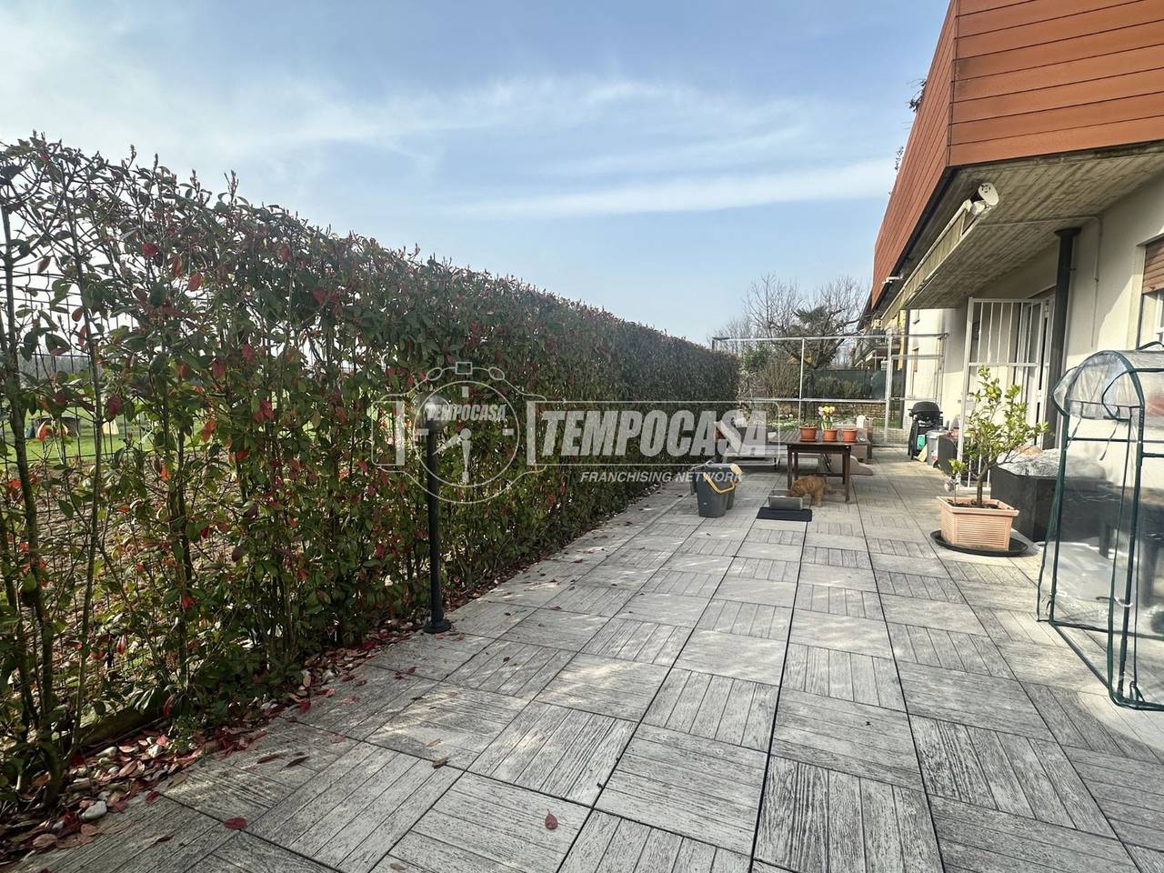 immagine annuncio 4 di 15