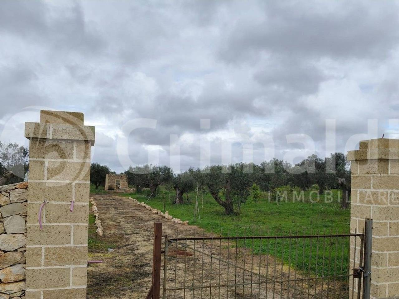 immagine annuncio 2 di 9