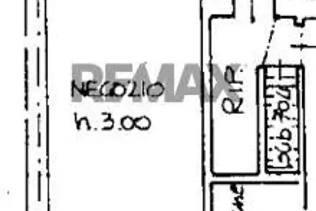 insertion image