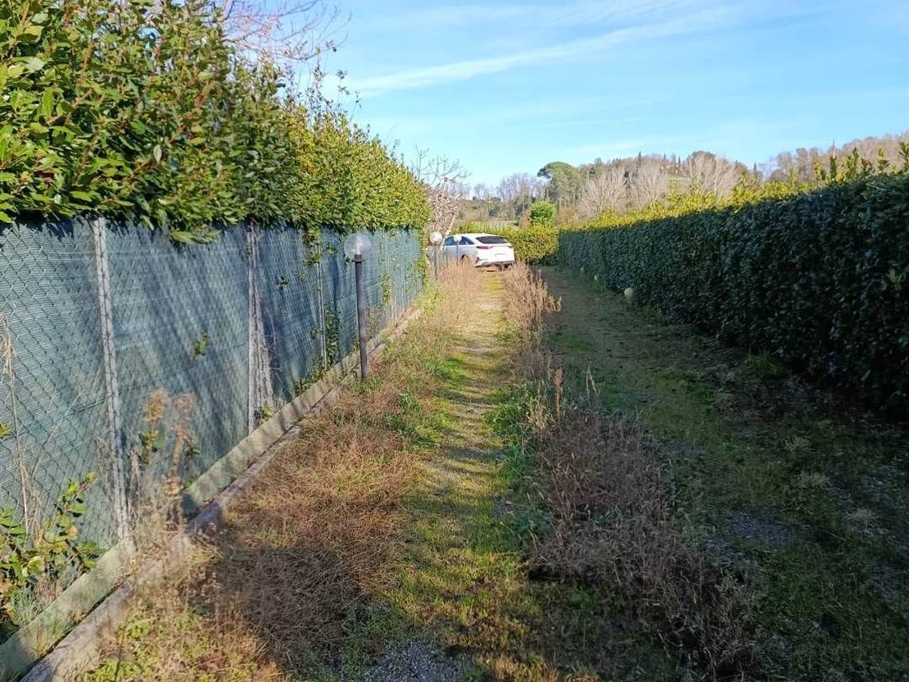 immagine annuncio 13 di 14