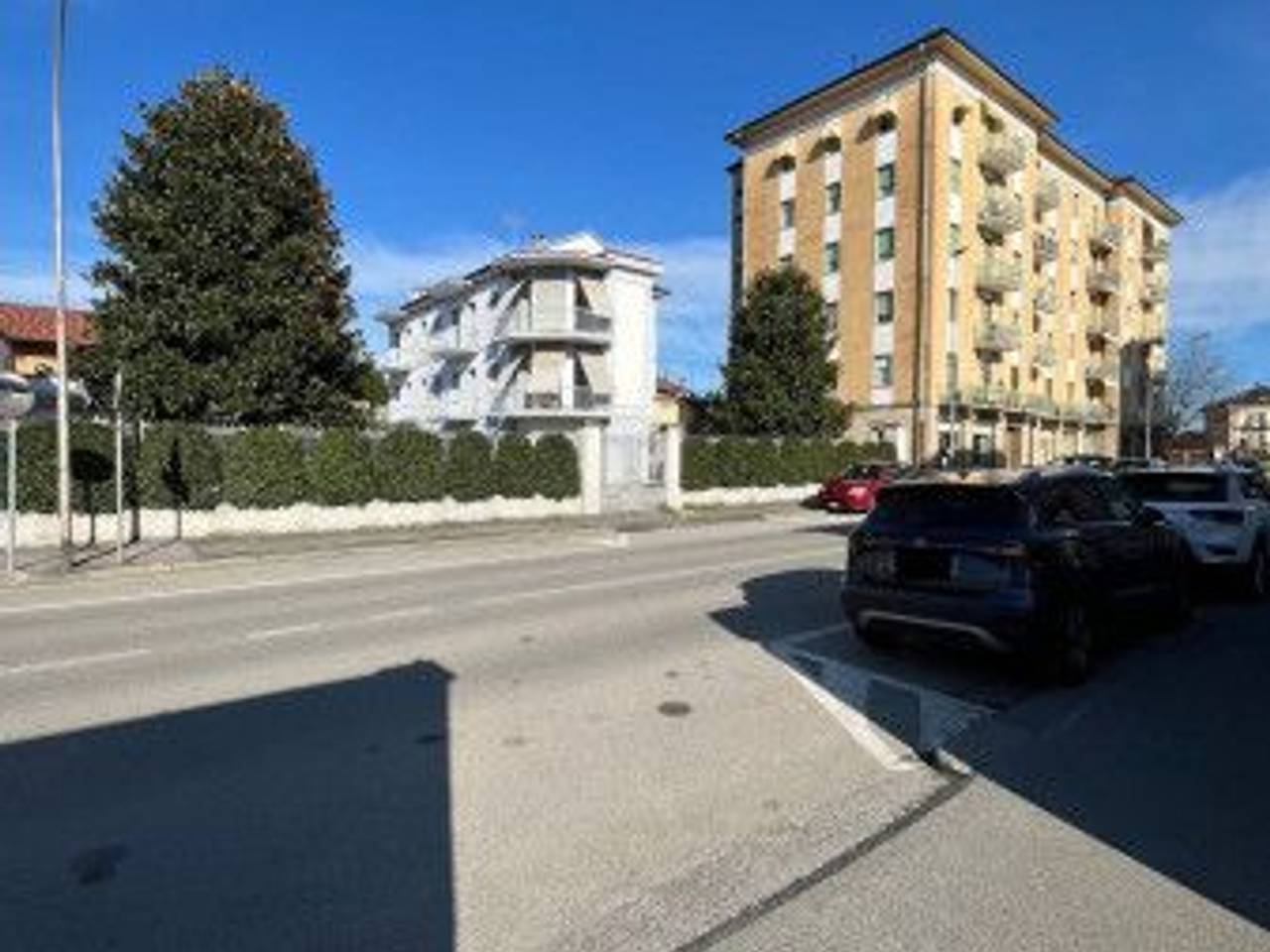 immagine annuncio 3 di 11