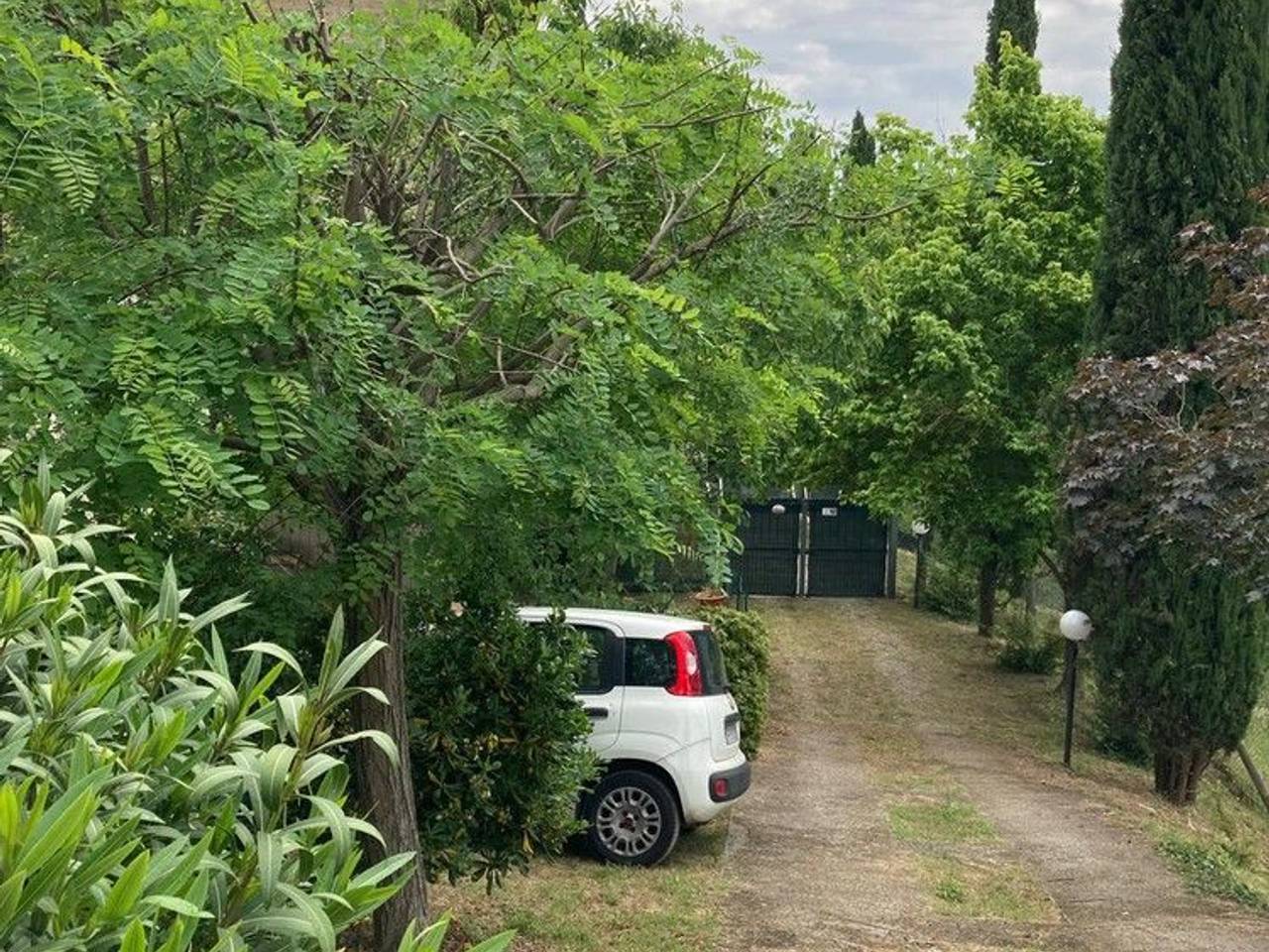 immagine annuncio 9 di 14