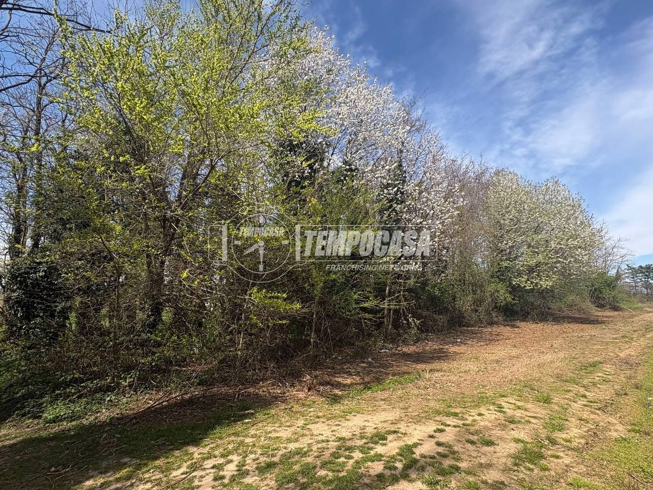 immagine annuncio 4 di 7