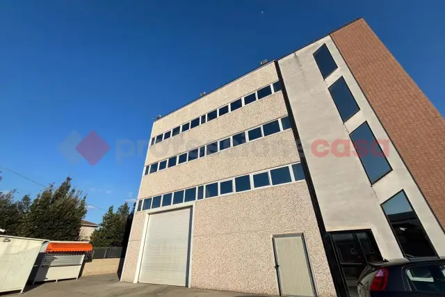 insertion image