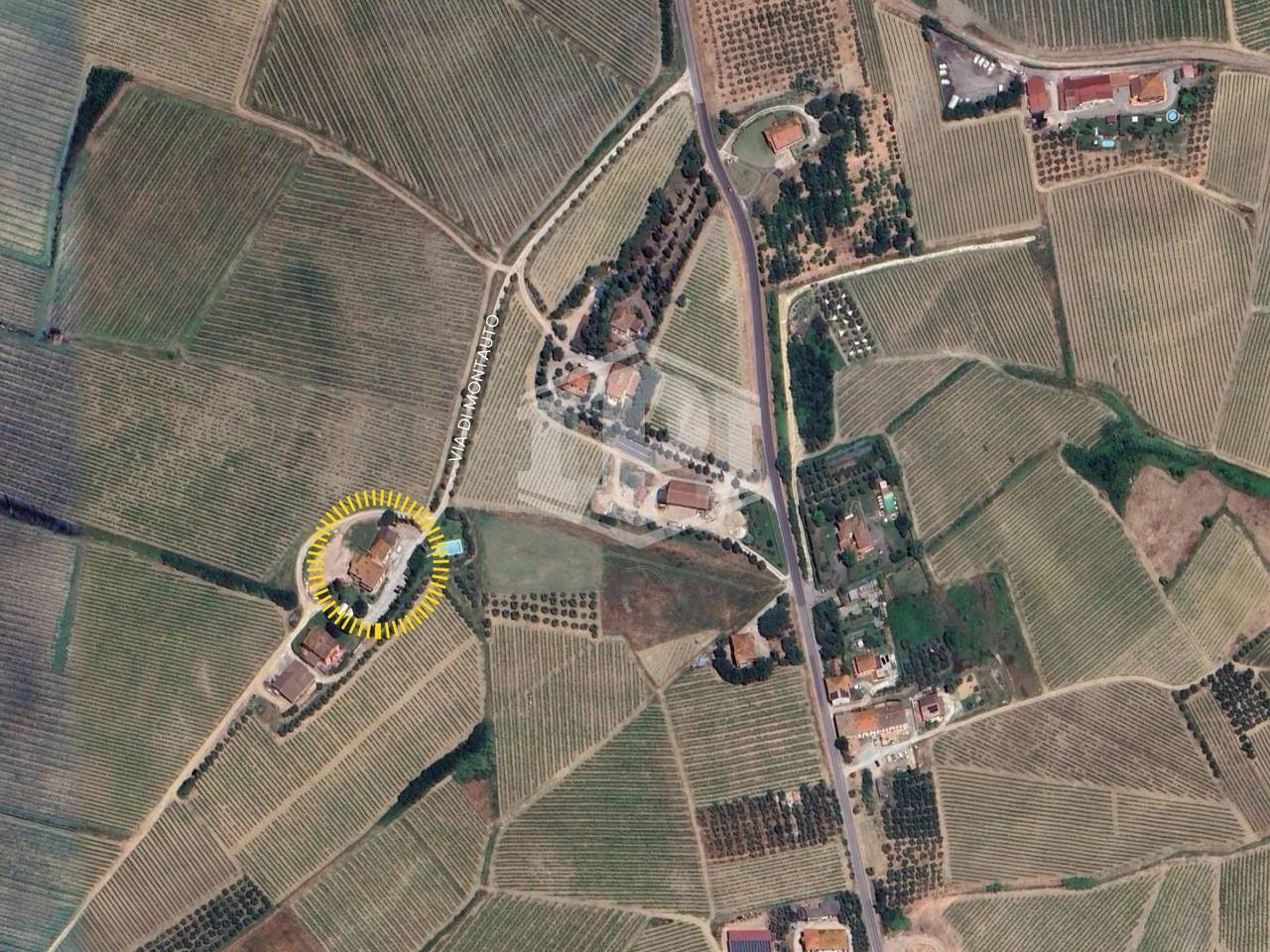 immagine annuncio 12 di 14