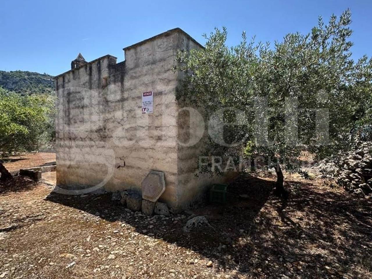 immagine annuncio 2 di 12