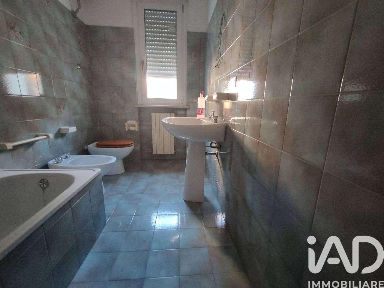 immagine annuncio 5 di 11