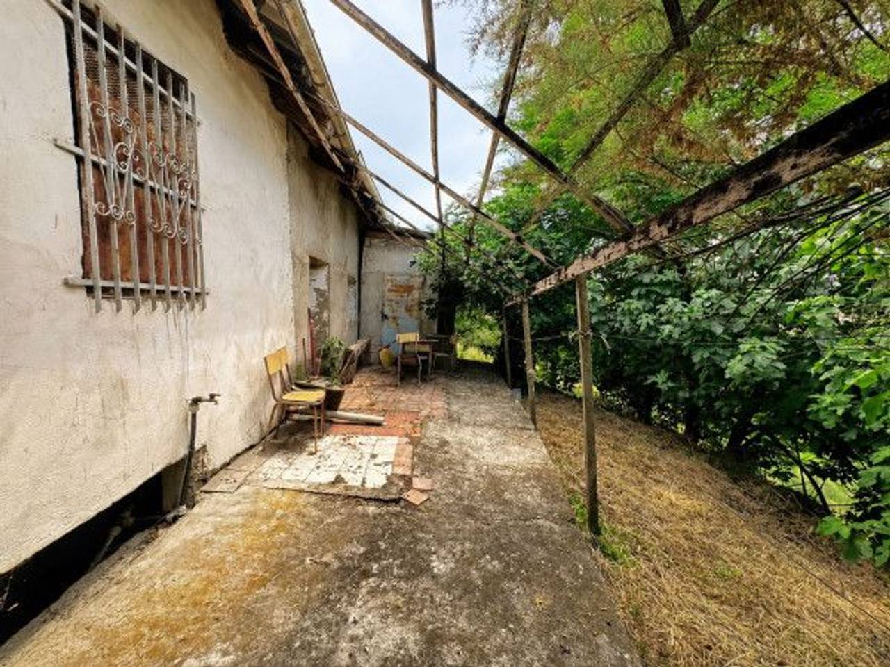 immagine annuncio 5 di 14