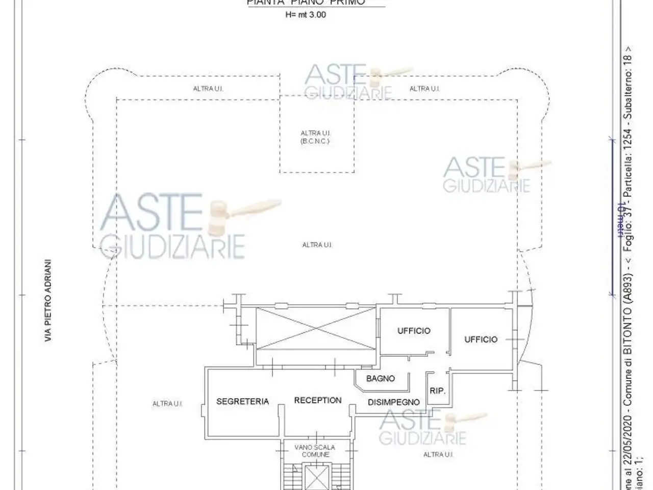Ufficio in Viale Europa, Bitonto, {3} - Planimetria 1