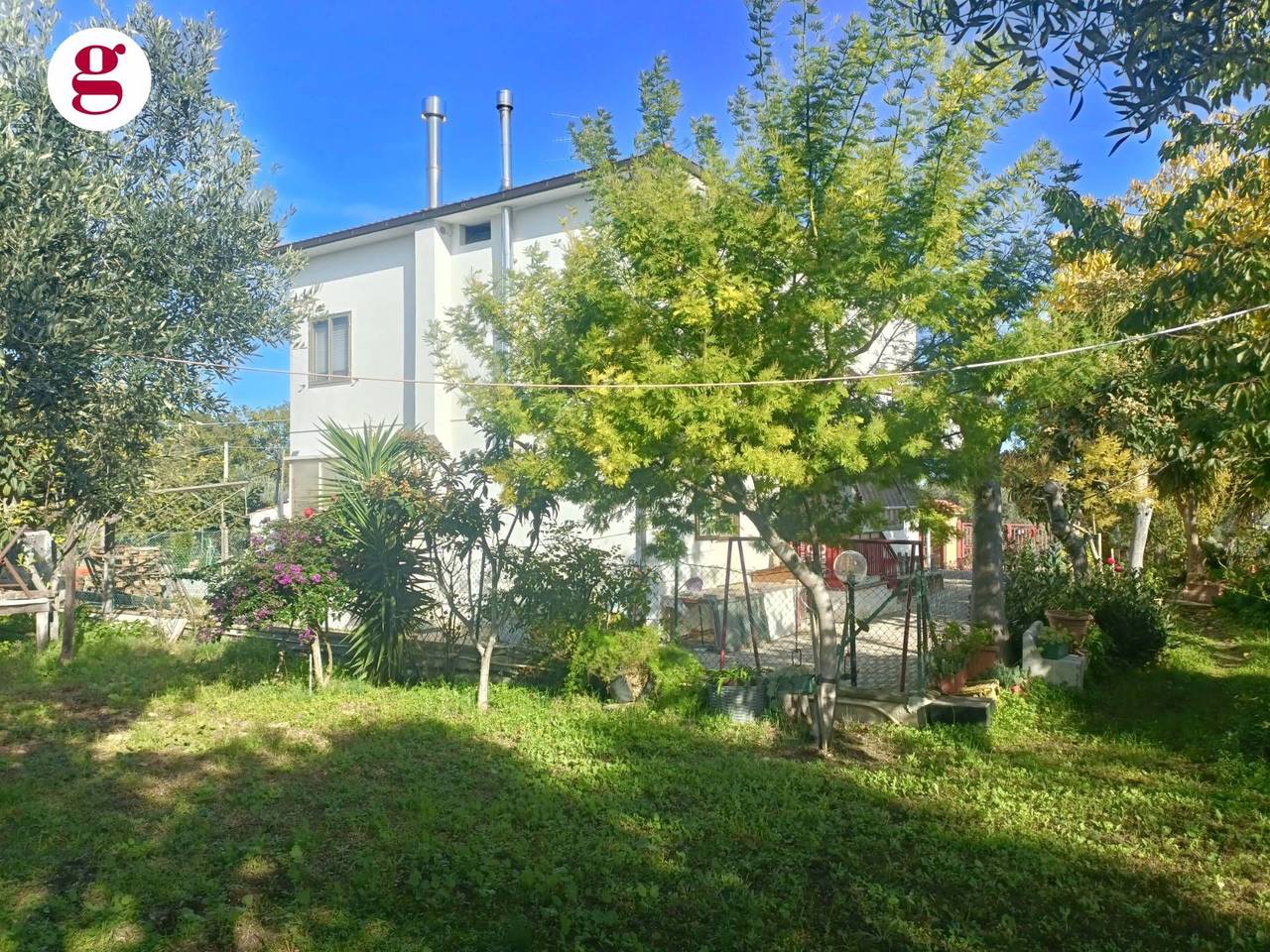 immagine annuncio 2 di 15