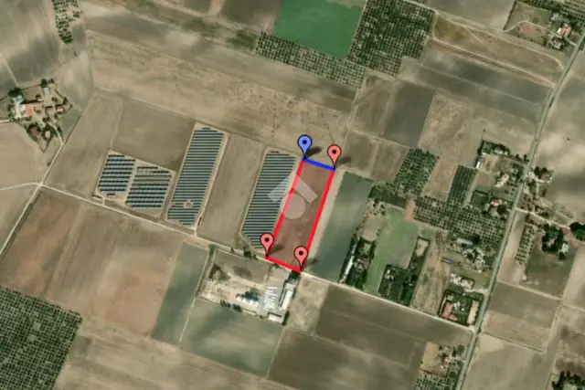 insertion image