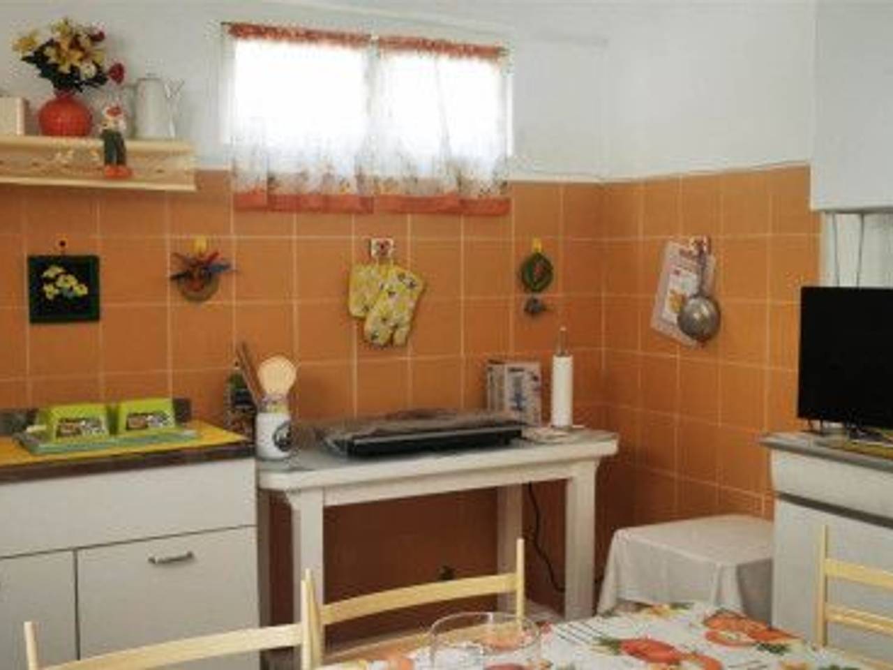 immagine annuncio 2 di 14