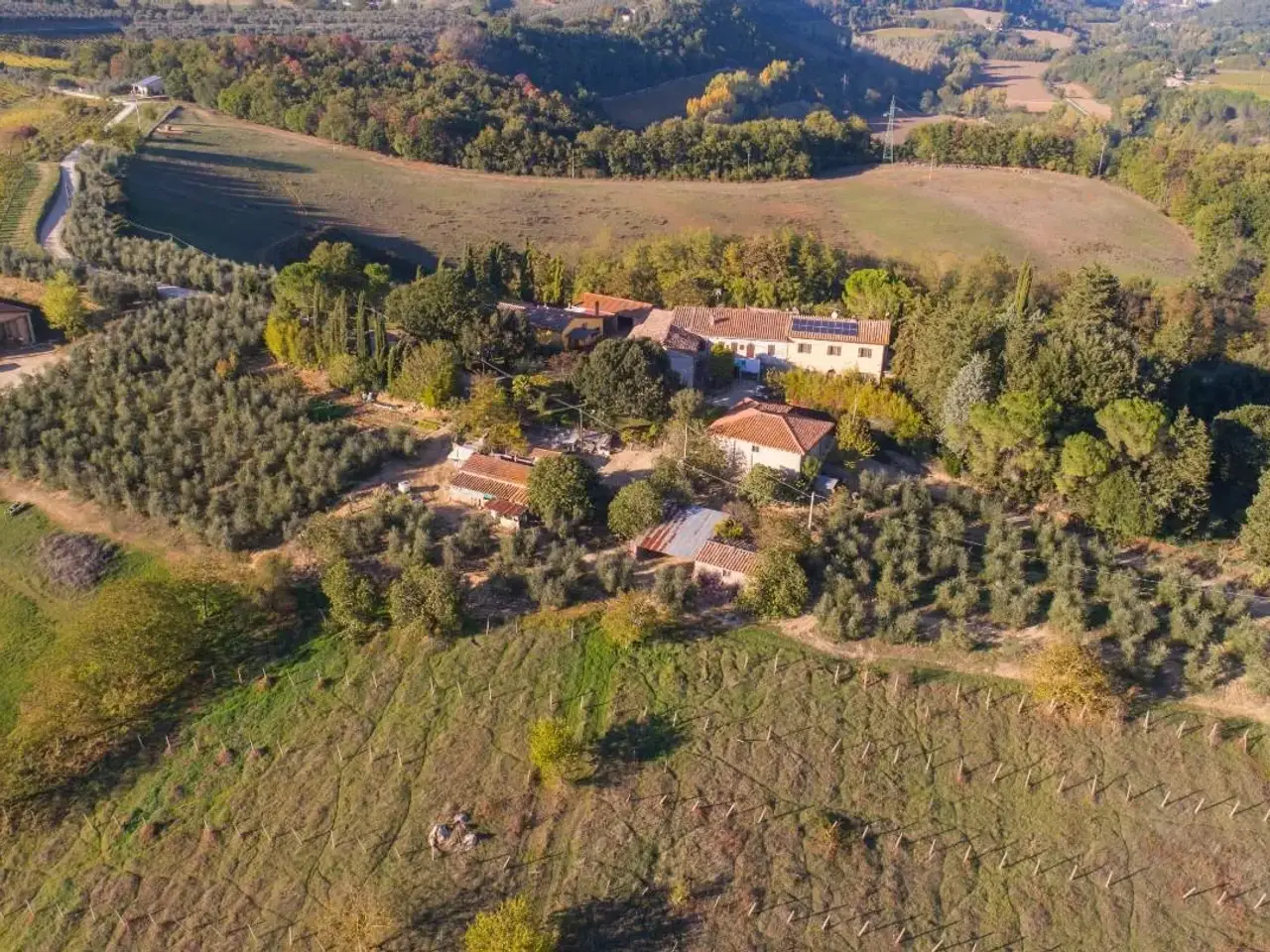Azienda agricola in 53036 Poggibonsi Si 53036, Poggibonsi, {3} - Foto 1
