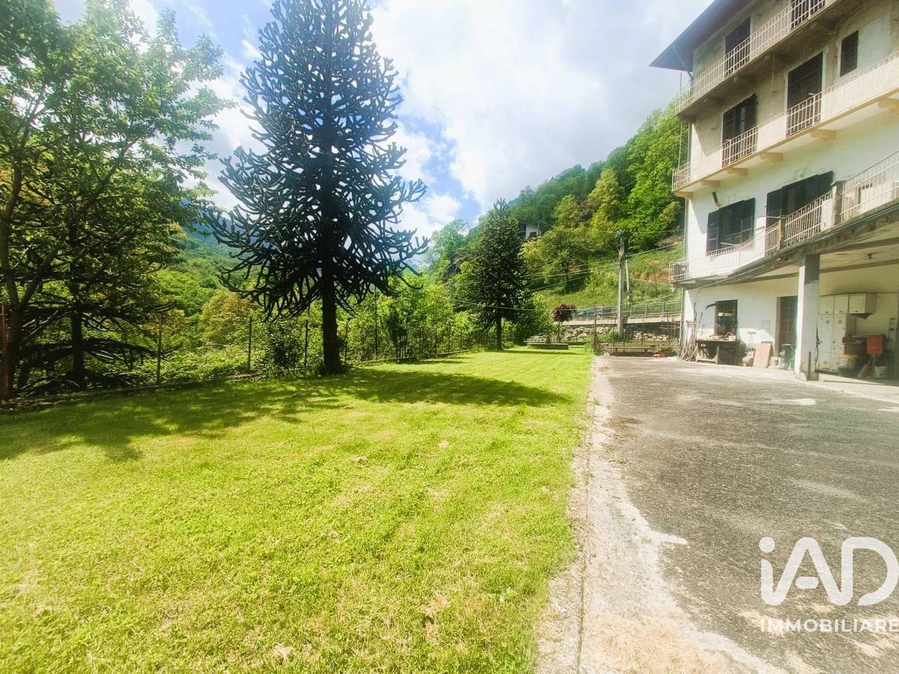 immagine annuncio 10 di 15