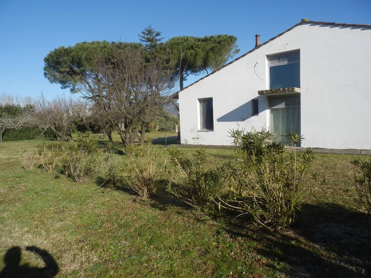 immagine annuncio 2 di 14