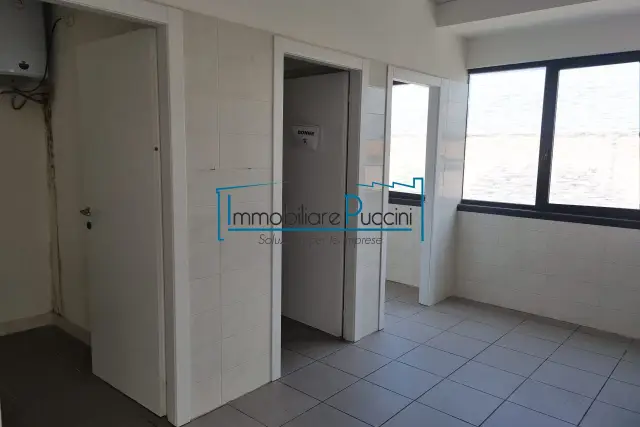 insertion image