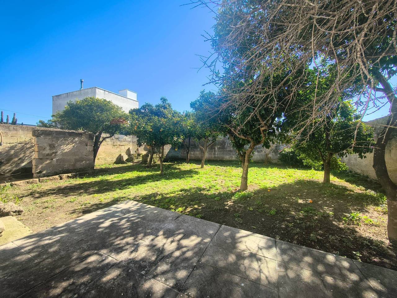 immagine annuncio 13 di 14