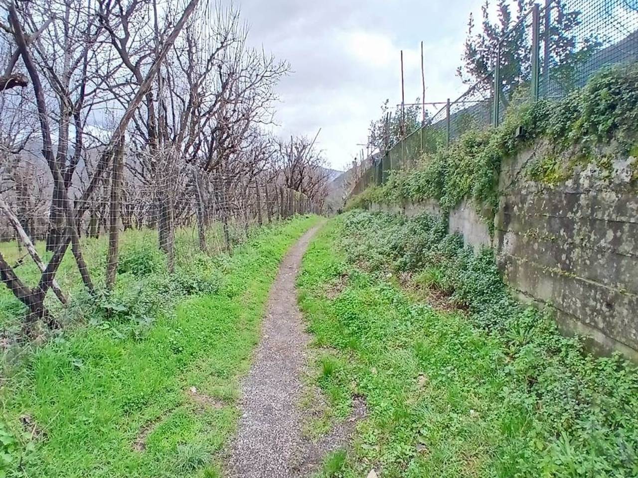 immagine annuncio 7 di 11