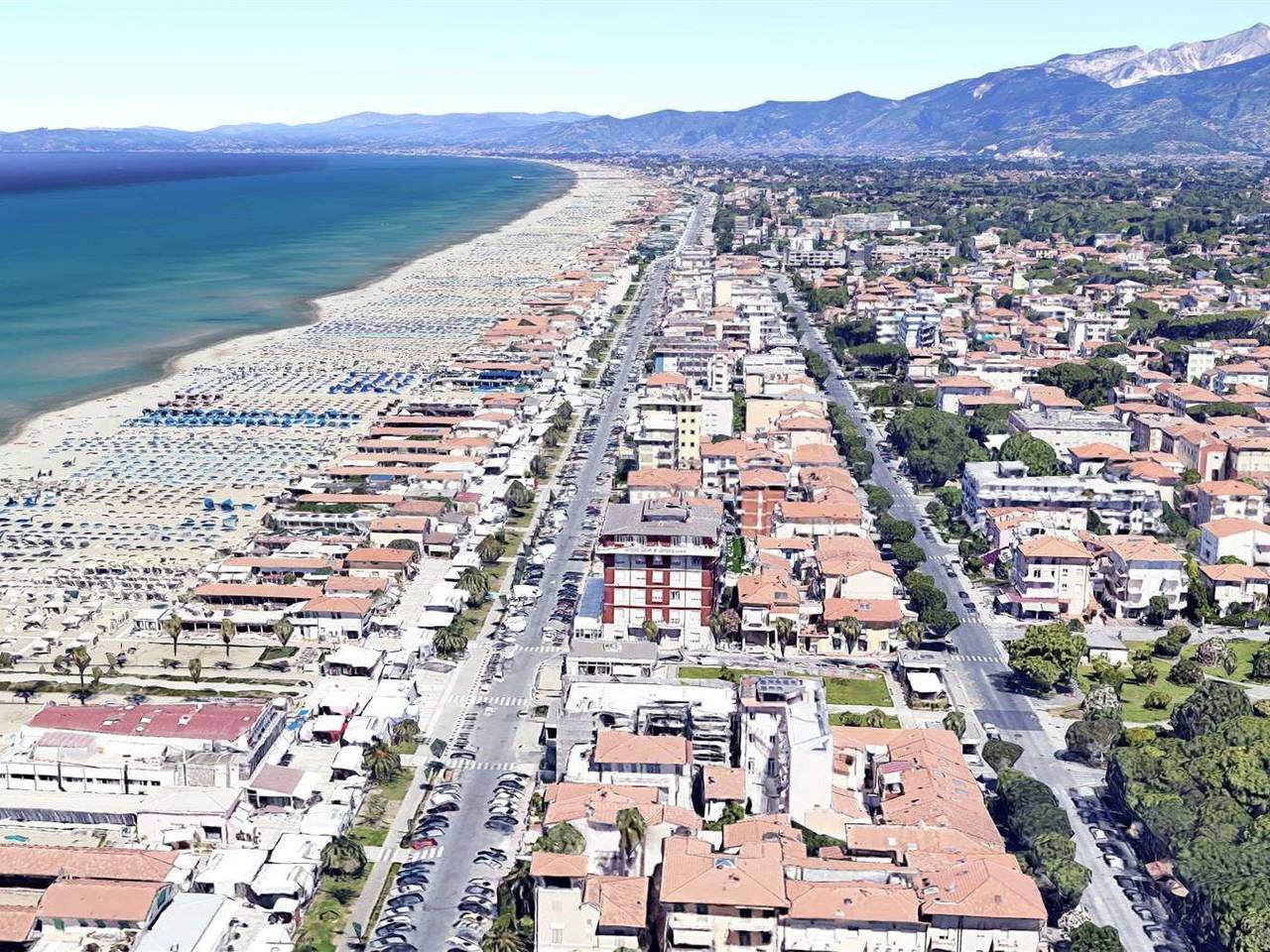 immagine annuncio 4 di 8