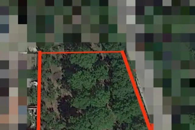 insertion image