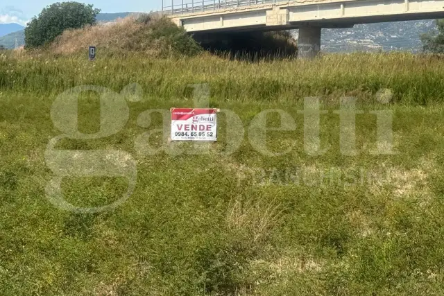 insertion image