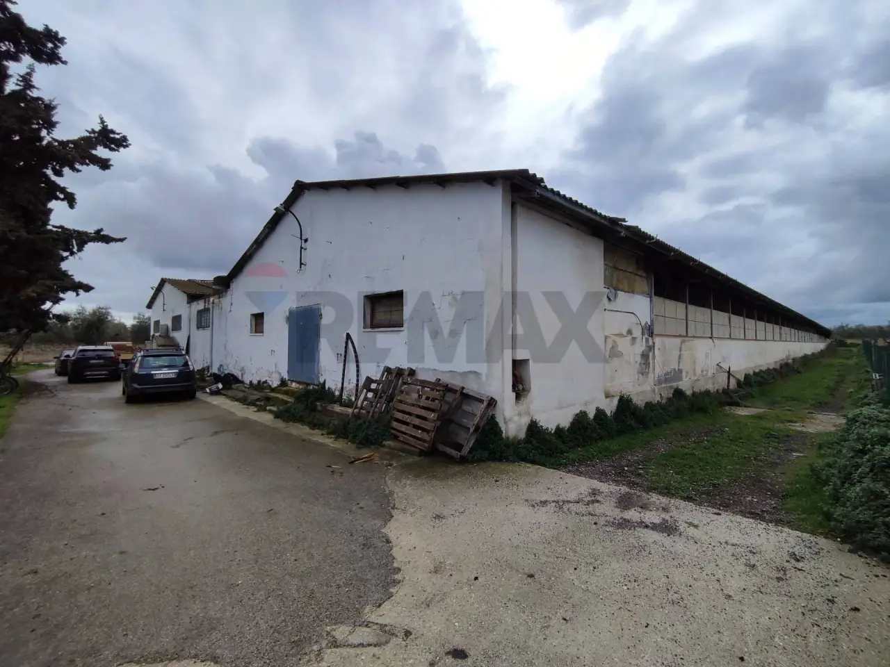 Capannone in Via San Mercuro 35, Bisceglie, {3} - Foto 1