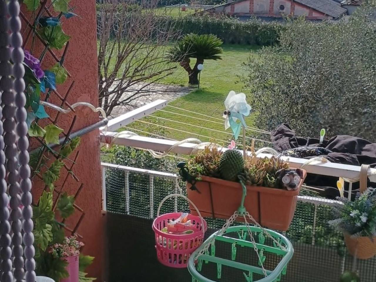 immagine annuncio 4 di 15