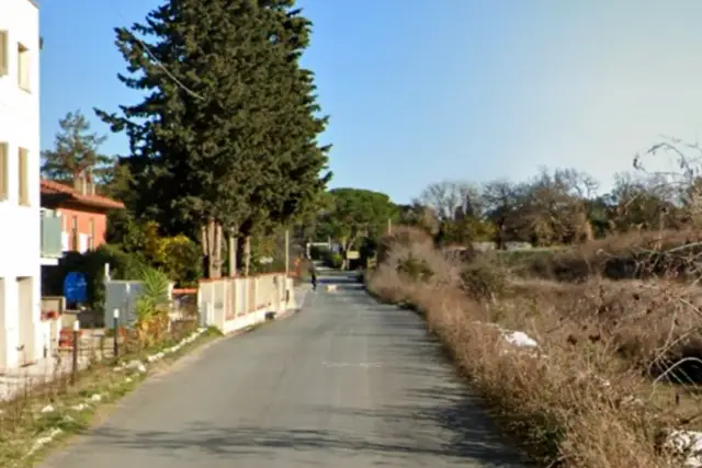 insertion image