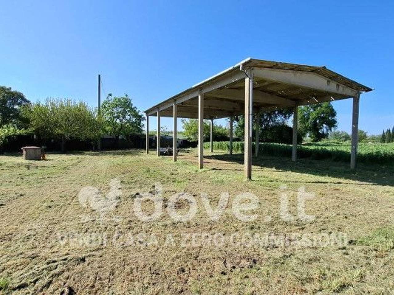 immagine annuncio 7 di 11