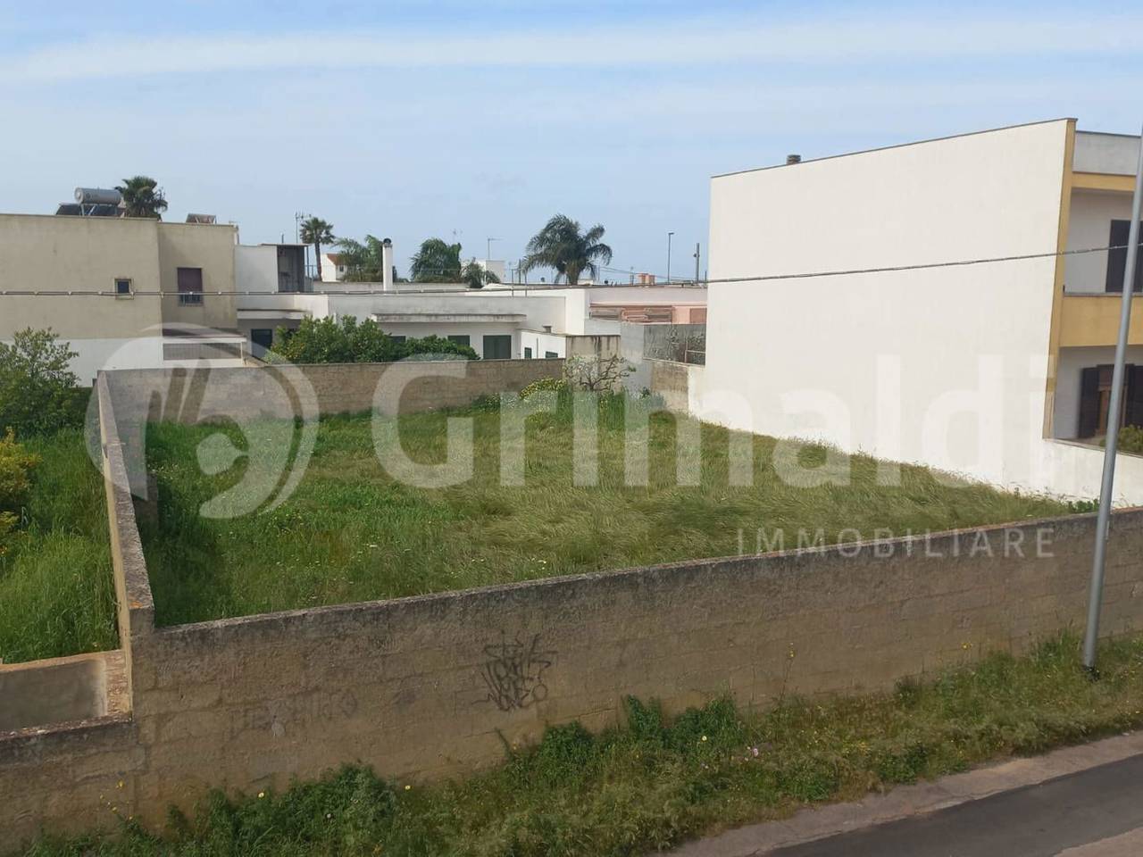 immagine annuncio 9 di 12