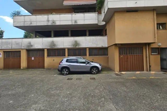 insertion image