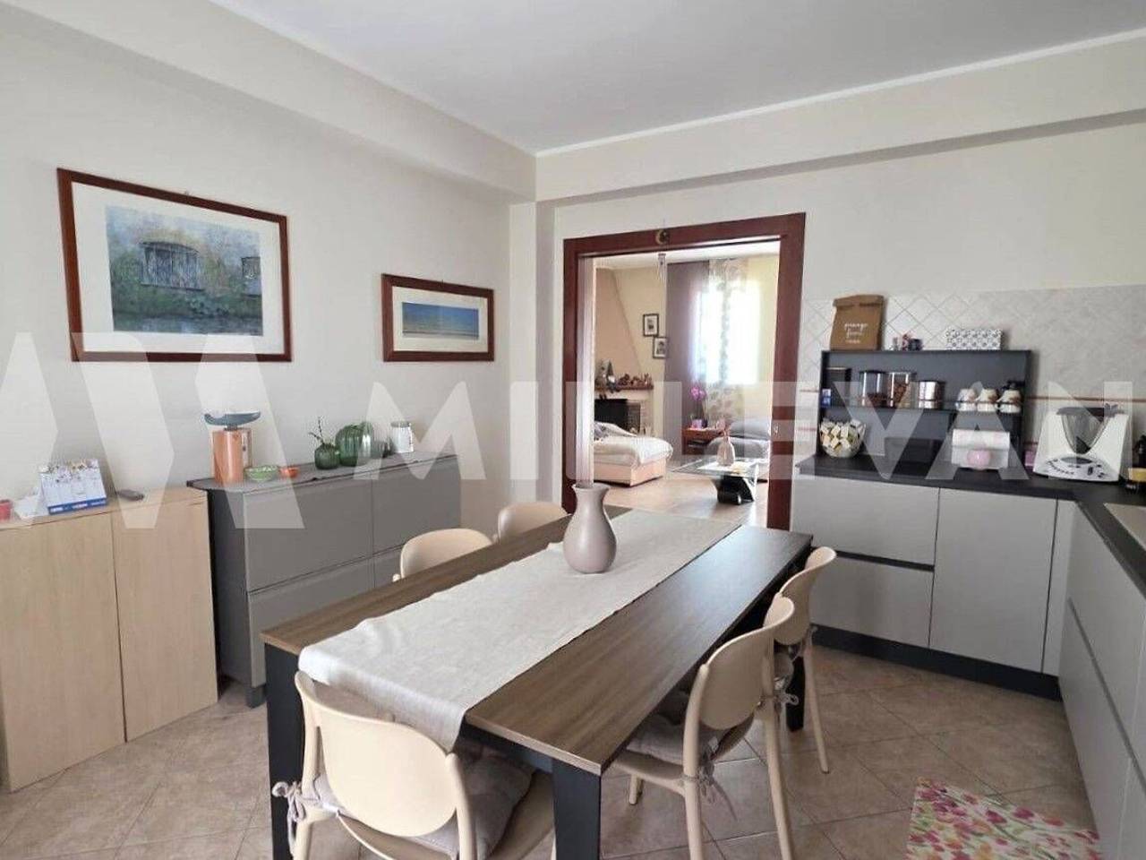 immagine annuncio 4 di 14