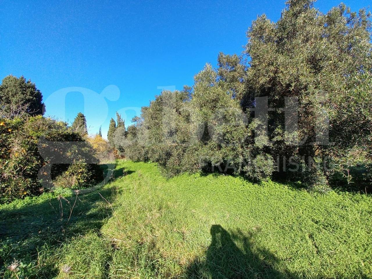 immagine annuncio 1 di 6