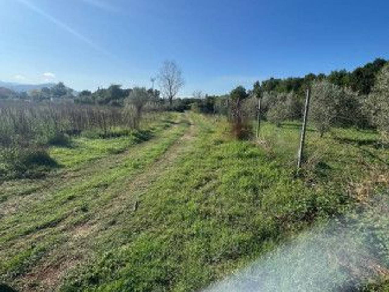 immagine annuncio 1 di 6