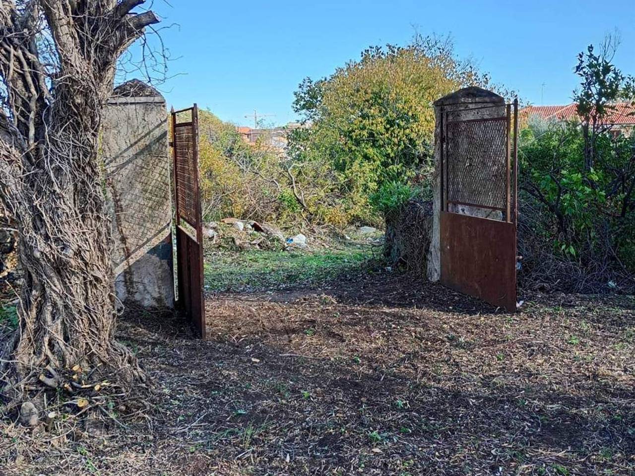 immagine annuncio 7 di 14