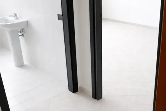 insertion image