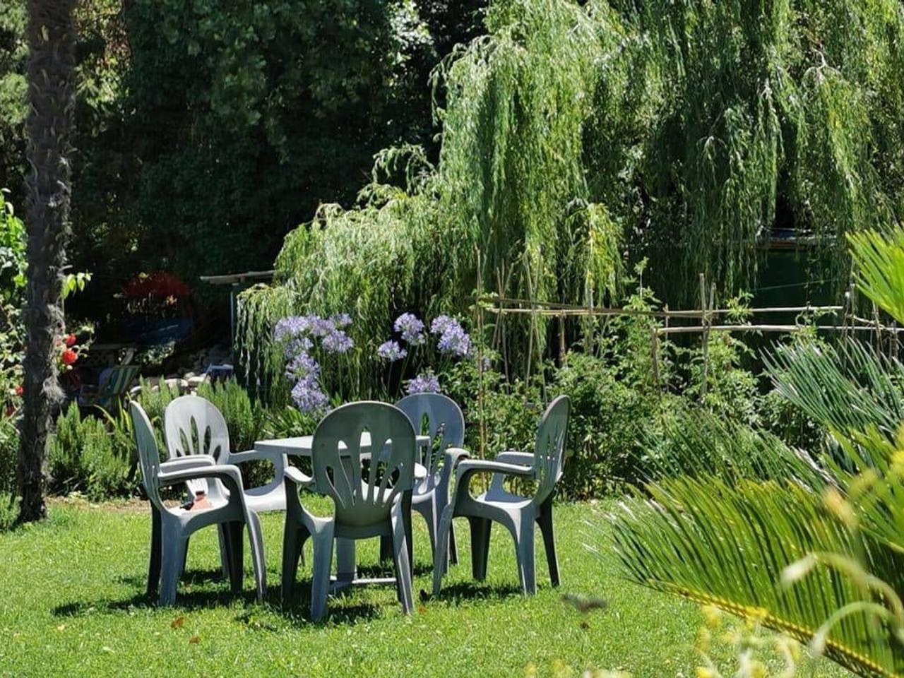 immagine annuncio 11 di 15