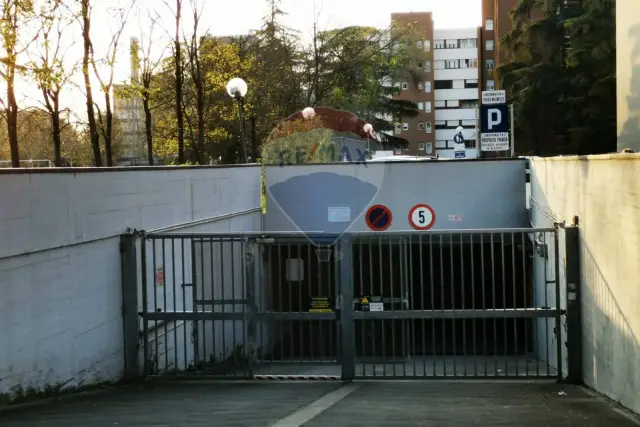 insertion image