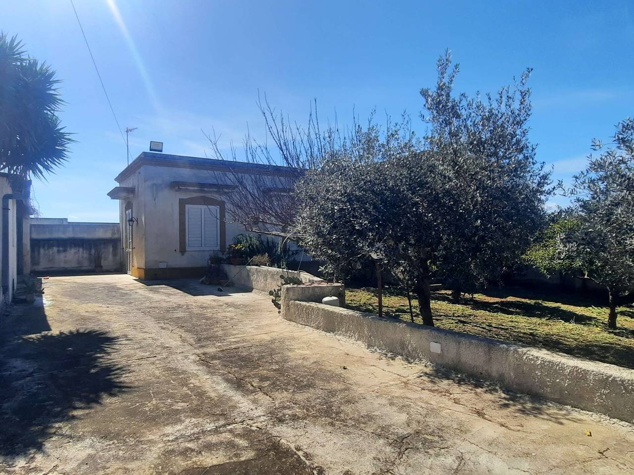 immagine annuncio 1 di 8