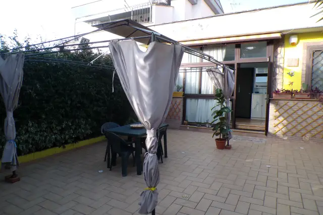 insertion image