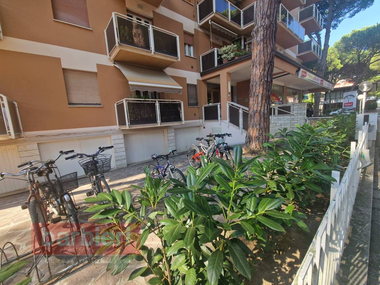 immagine annuncio 13 di 14