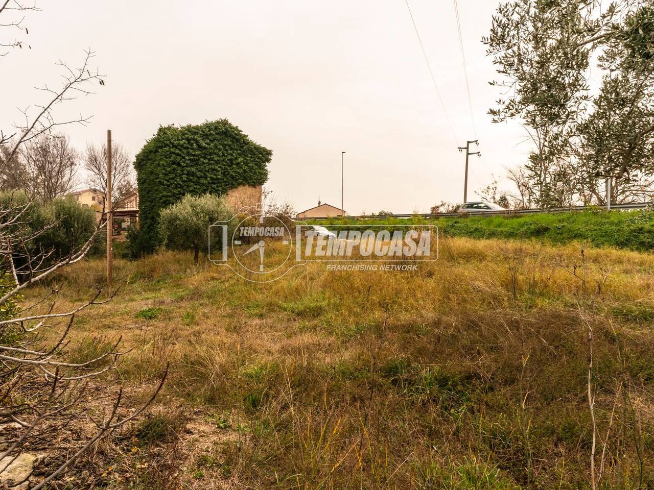 immagine annuncio 9 di 13