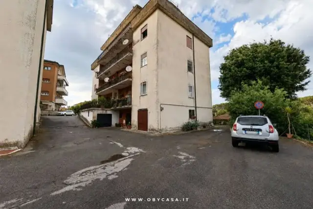 insertion image