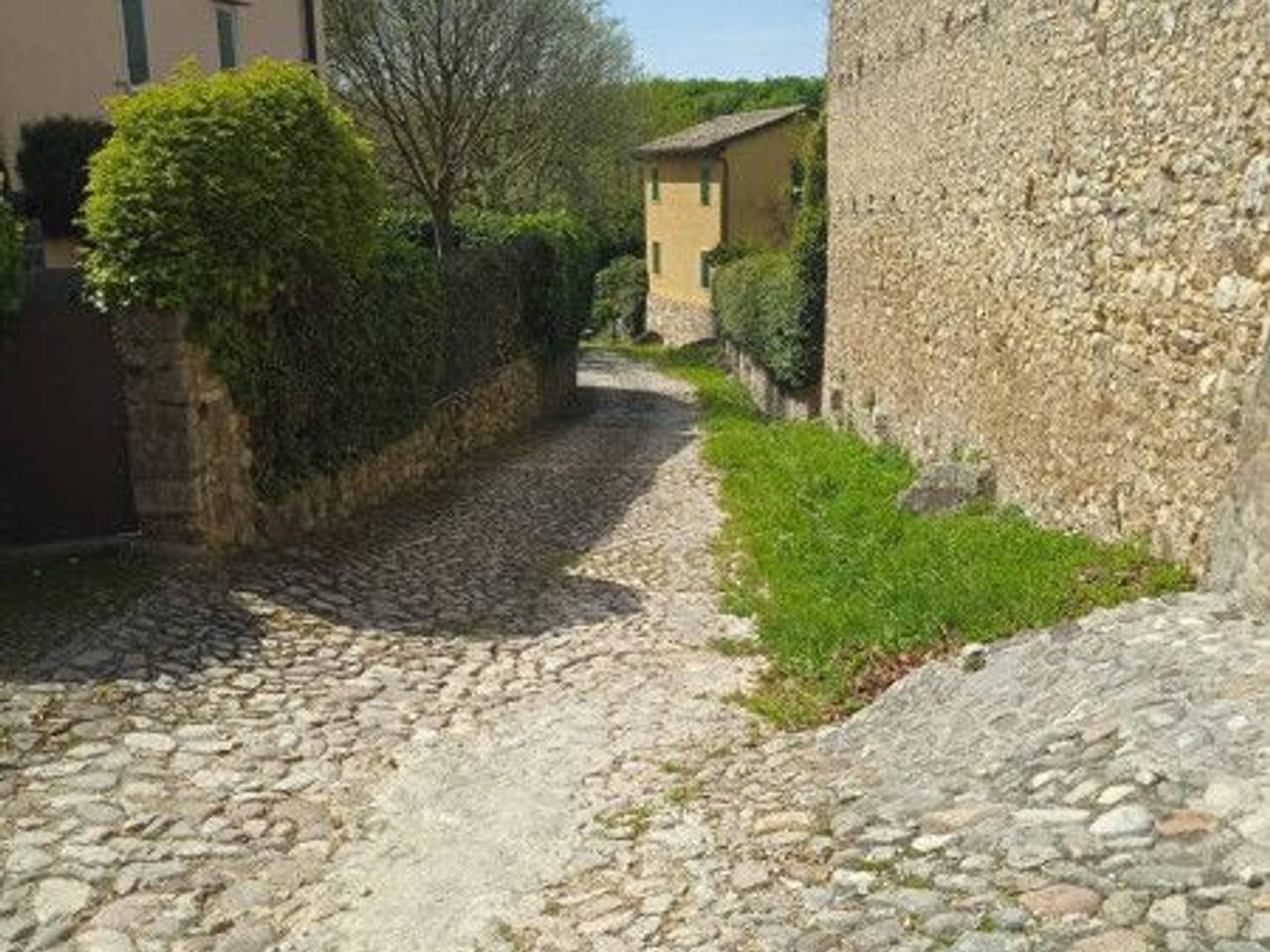 immagine annuncio 2 di 4