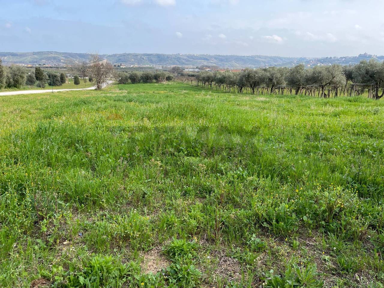 immagine annuncio 1 di 6