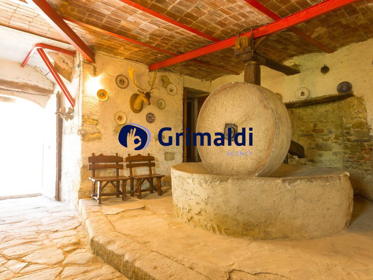 immagine annuncio 7 di 13